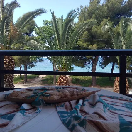 Hotel Akti Boutique 4*