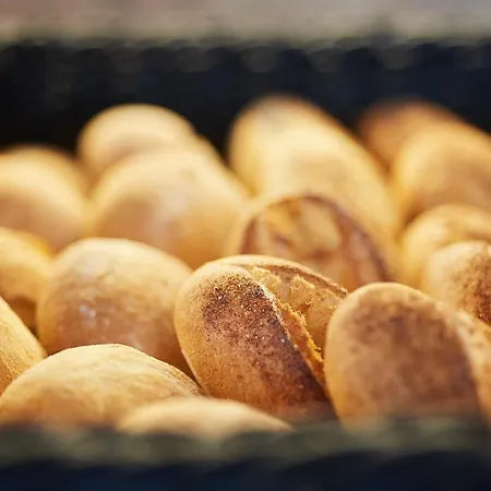 Hotel Akti Boutique Toroni