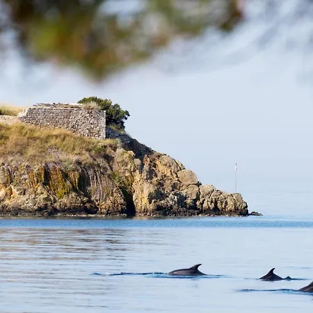 Akti Boutique 토로니