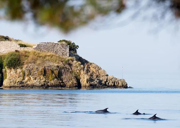 Akti Boutique Toróni